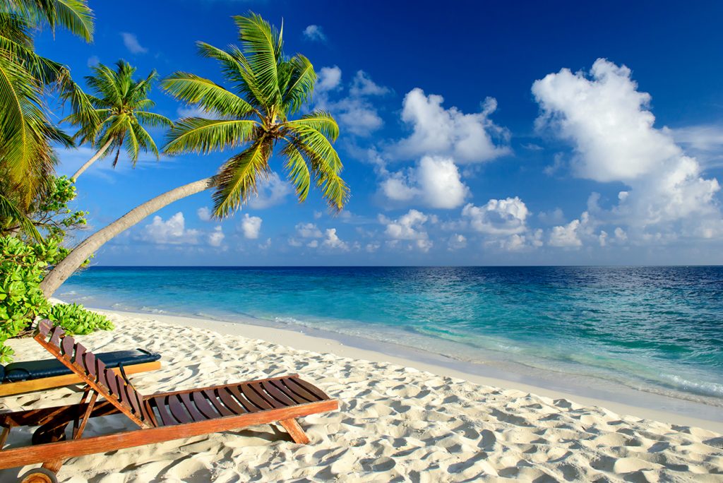 Beach chair on beautiful beach with palm trees